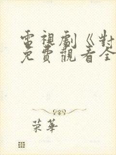 电视剧《对决》免费观看全集高清版封面