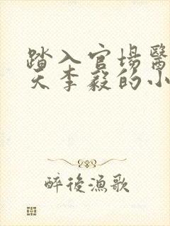 踏入官场医道问天李毅的小说