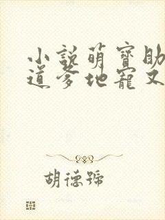 小说萌宝助攻霸道爹地宠又撩