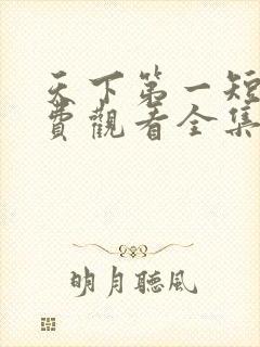 天下第一短剧免费观看全集高清