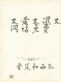 又黄又湿又高潮网站免费