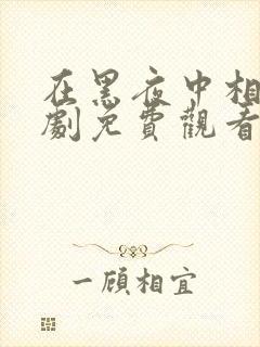 在黑夜中相拥短剧免费观看