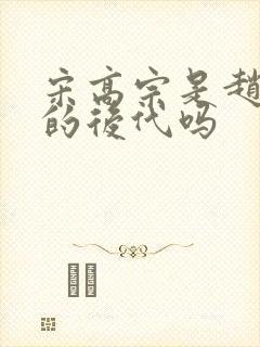 宋高宗是赵匡胤的后代吗