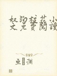 奴狗校花小说全文免费阅读