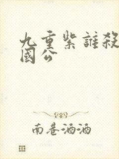 九重紫谁杀了定国公封面