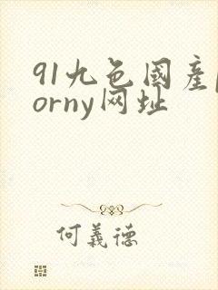 91九色国产porny网址