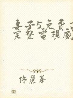 妻子5免费高清完整电视剧情年轻母亲封面