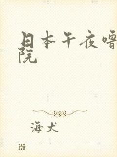 日本午夜噜噜影院