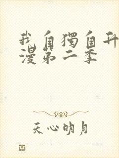 我自独自升级动漫第二季