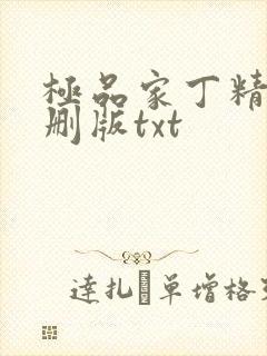 极品家丁精校无删版txt