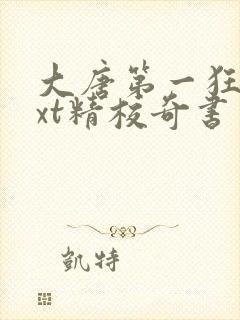 大唐第一狂徒txt精校奇书网
