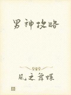 男神攻略封面