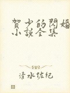 贺少的闪婚暖妻小说全集