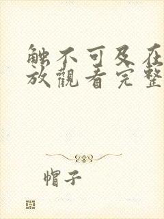 触不可及在线播放观看完整版免费韩剧