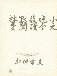 林默苏晚小说免费阅读全文最新章节更新封面