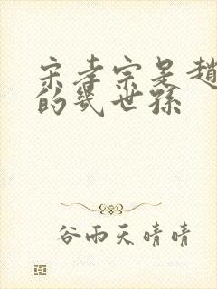 宋孝宗是赵匡胤的几世孙