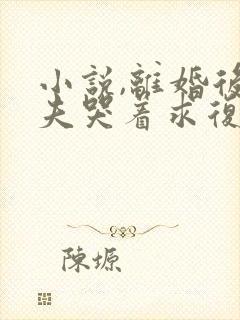 小说,离婚后前夫哭着求复婚