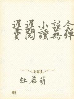 迟迟小说全文免费阅读无弹窗