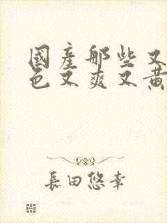 国产那些又粗又色又爽又黄的视频封面