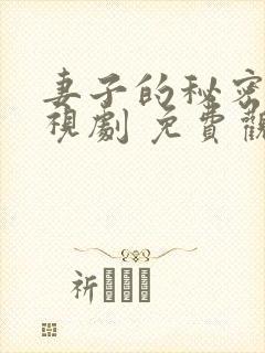 妻子的秘密 电视剧 免费观看