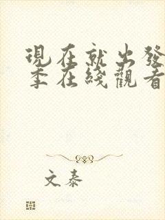 现在就出发第三季在线观看完整版高清封面