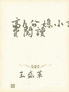 高h公媳小说免费阅读