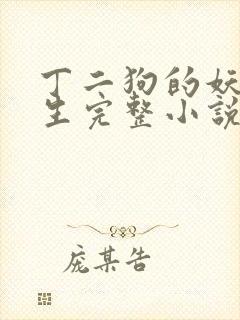 丁二狗的妖孽人生完整小说