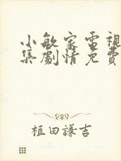 小敏家电视剧全集剧情免费观看封面