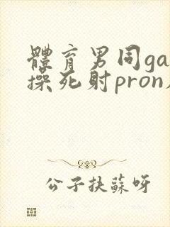 体育男同gay操死射pron肌肉