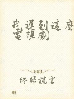 我迟到这么多年电视剧封面