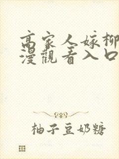 高家人嫁柳家动漫观看入口封面