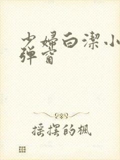 少妇白洁小说无弹窗