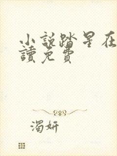 小说踏星在线阅读免费