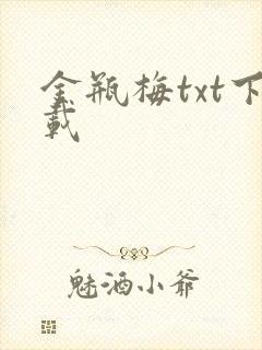 金瓶梅txt下载封面