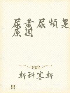 尿黄尿频是什么原因封面