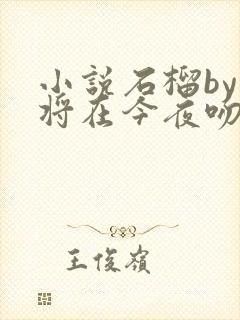 小说石榴by我将在今夜吻你讲什么
