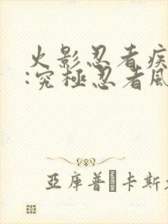 火影忍者疾风传:究极忍者风暴遗产