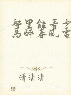 哪里能看少年白马醉春风电视剧