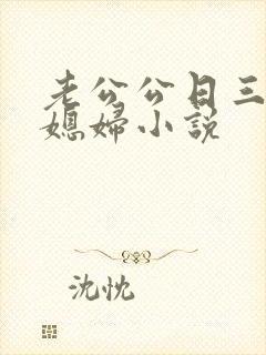 老公公日三个儿媳妇小说