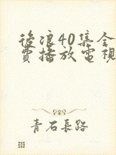 后浪40集全免费播放电视剧