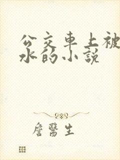 公交车上被摸出水的小说封面