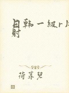 日韩一级r片内射