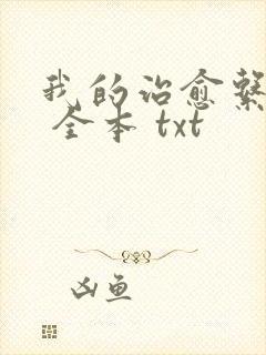 我的治愈系游戏 全本 txt