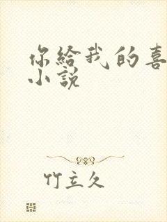 你给我的喜欢 小说