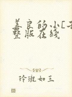 善良的小[子完整版在线