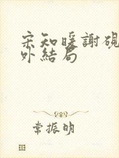 宋知暖谢砚京番外结局封面