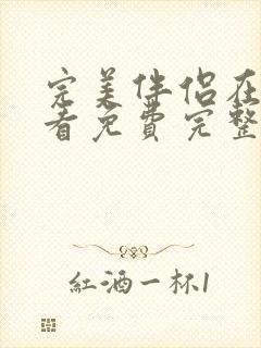 完美伴侣在线观看免费完整版高清