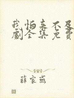 我怕来不及电视剧全集免费观看封面