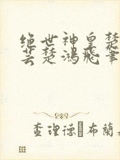 绝世神皇楚风楚芸楚鸿飞笔趣阁封面