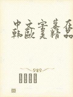 中文字幕在线日韩欧美精品精选